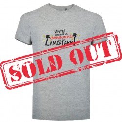 T-shirt VORREI ANCHE IO UN COMMERCIALISTA...colore GRIGIO HEATHER